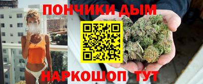 индика Анапа