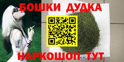 индика Анапа