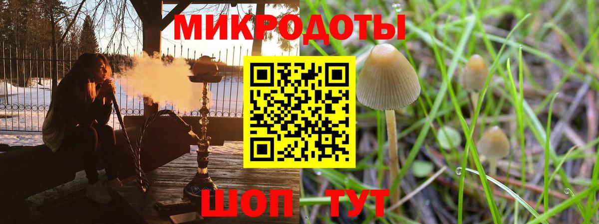 Псилоцибиновые грибы Psilocybe  Вход с VPN  Большой Камень 
